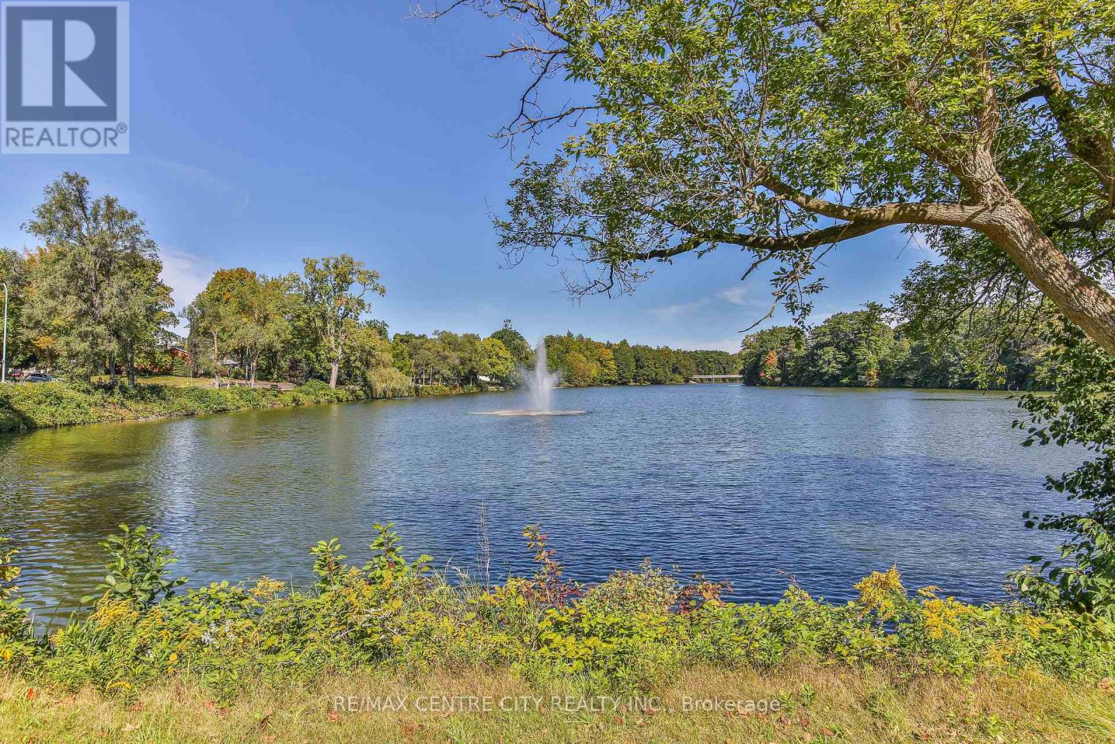 10 Concession Street E, Tillsonburg, Ontario  N4G 1N8 - Photo 27 - X13830340