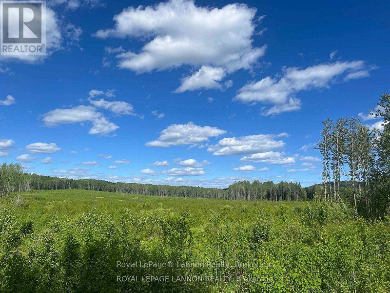 189 Larson Road, Neebing, Ontario  P7L 0A4 - Photo 3 - X13830236