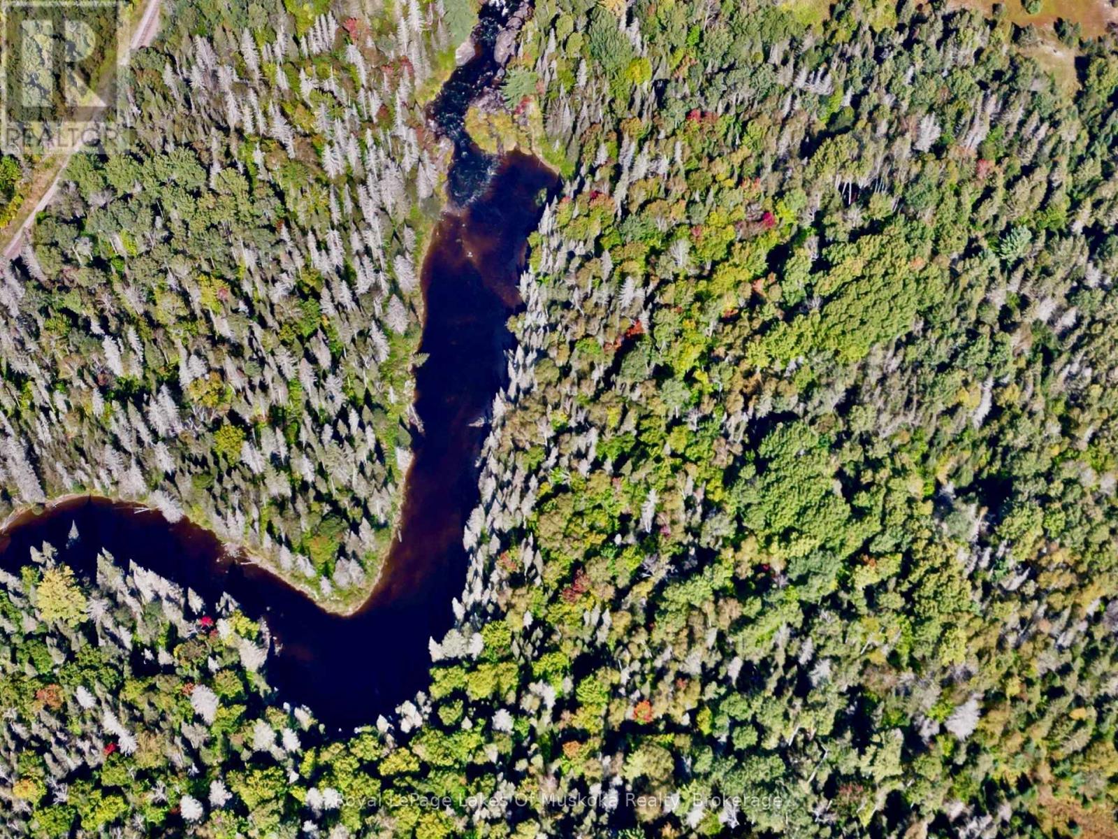 Pt Lt 7 Con 10 Pickerel & Jack Lake Road, Armour, Ontario  P0A 1C0 - Photo 11 - X13828994