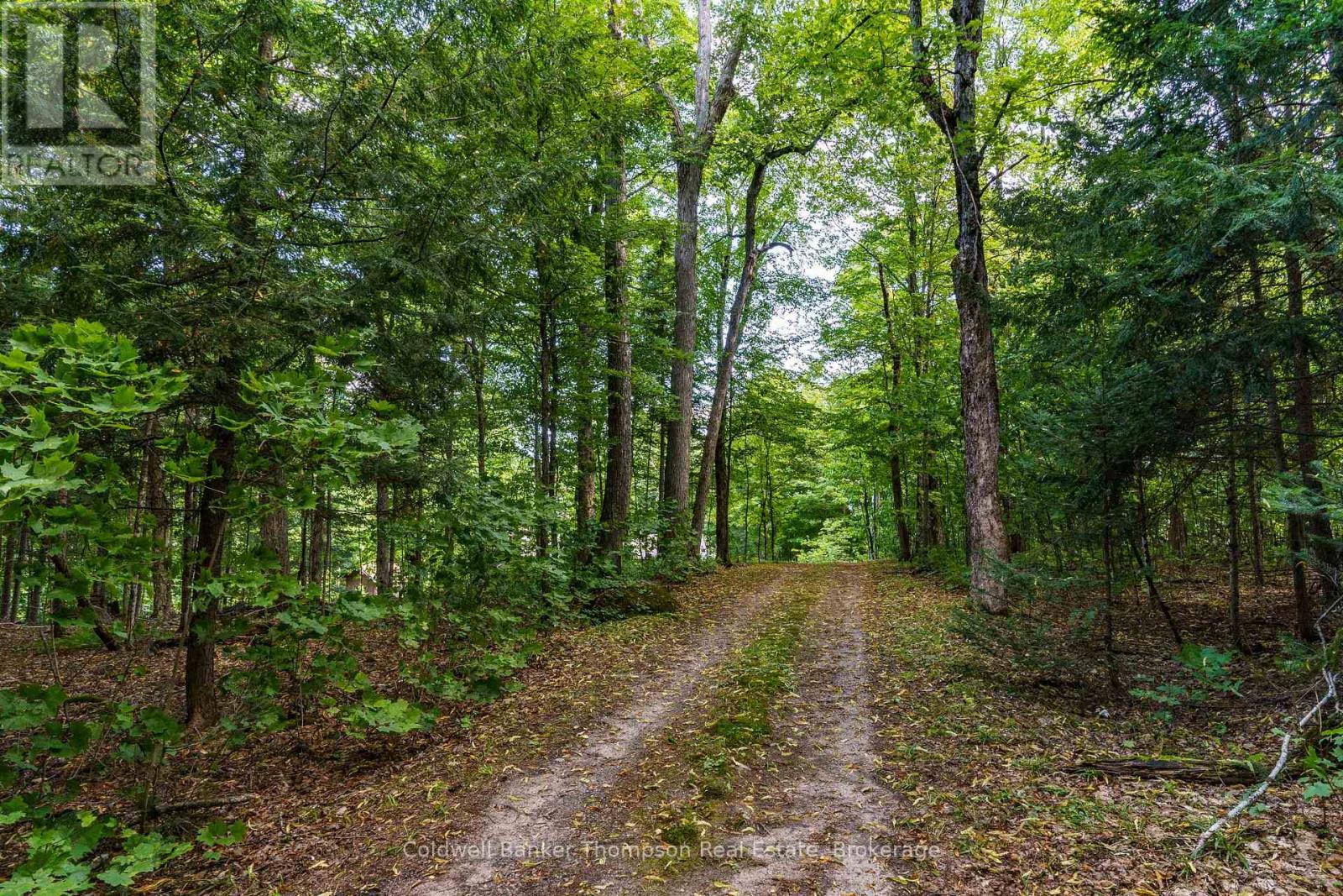 115 Sandwood Drive, Ryerson, Ontario  P0A 1C0 - Photo 29 - X13830246