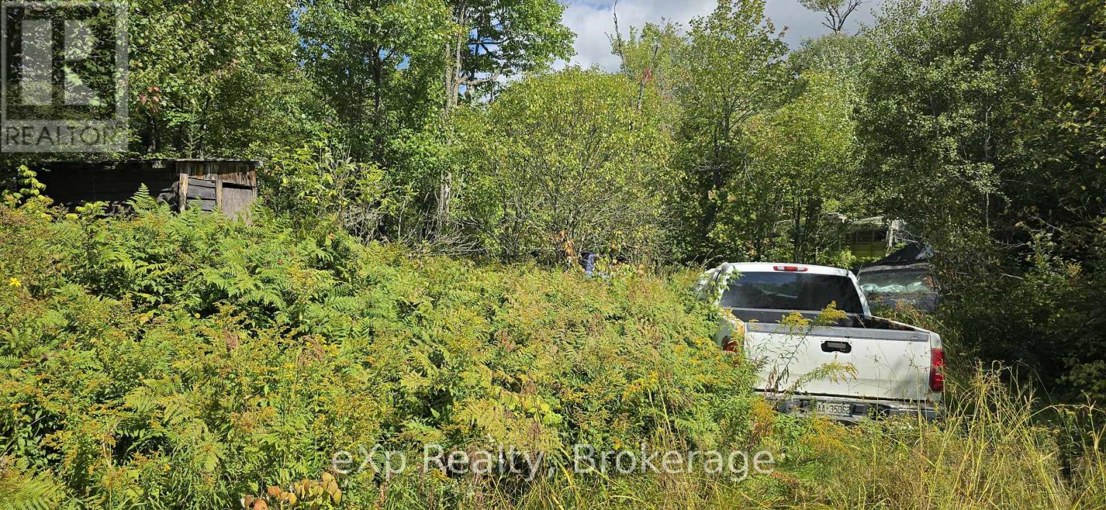 1331 Miller Road, Magnetawan, Ontario  P0A 1P0 - Photo 4 - X13830268