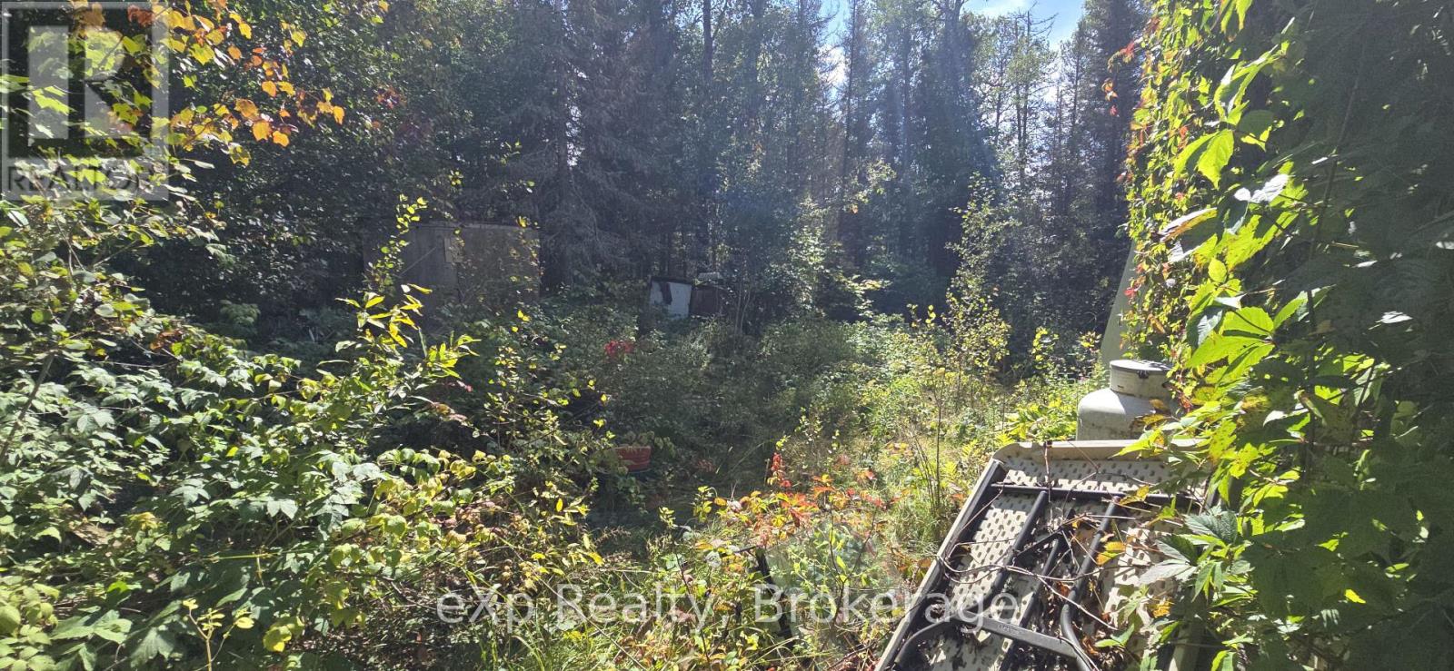 1331 Miller Road, Magnetawan, Ontario  P0A 1P0 - Photo 6 - X13830268