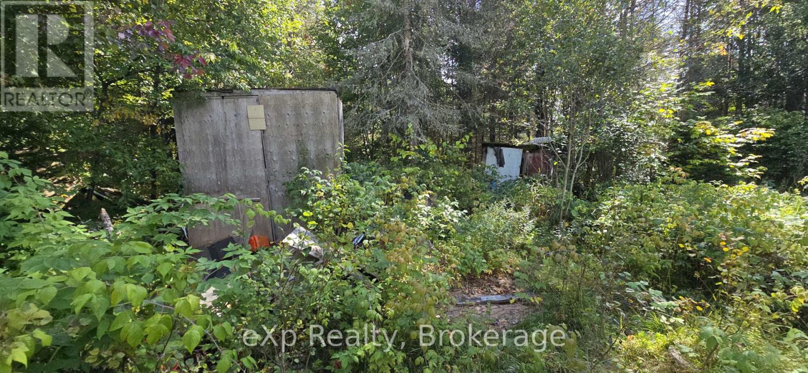 1331 Miller Road, Magnetawan, Ontario  P0A 1P0 - Photo 8 - X13830268