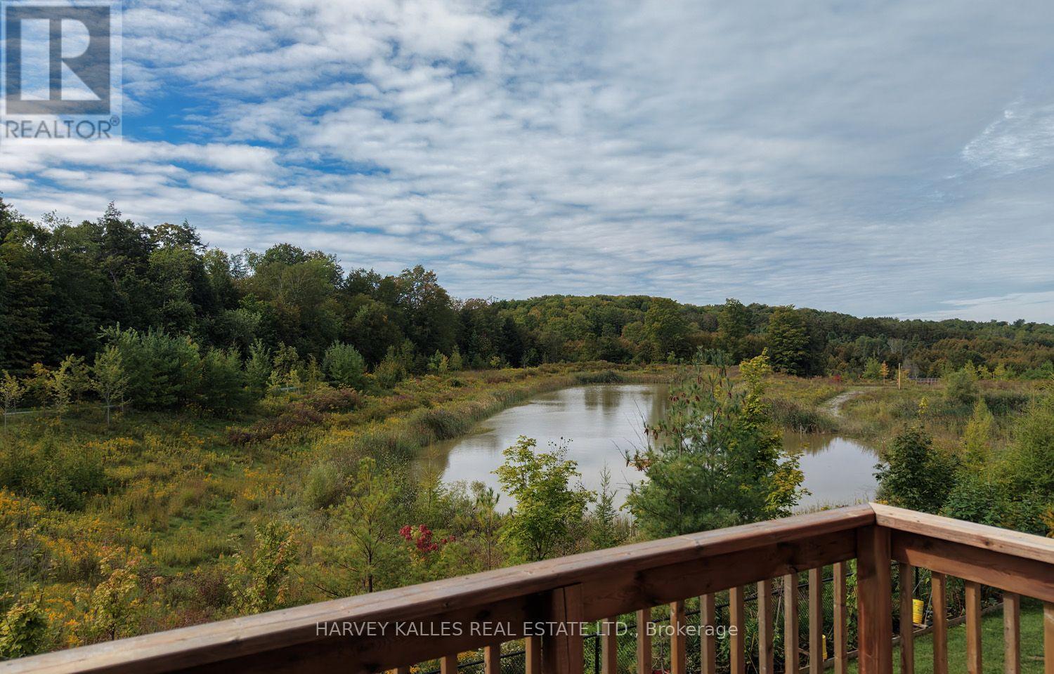 Main Floor - 253 Seaview Heights, East Gwillimbury, Ontario  L9N 0Z1 - Photo 45 - N13830440