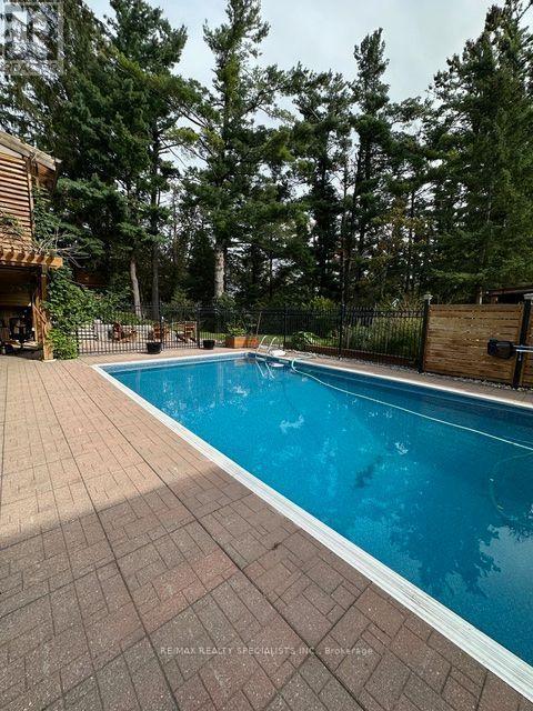 Lower - 189 Little Avenue, Barrie, Ontario L4N 6L1 - Photo 22 - S13801546