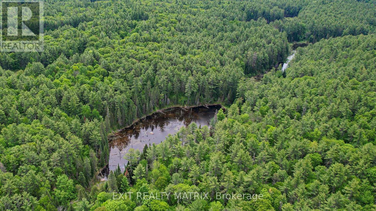 Pt Lt 9 Concession 1 Concession, Mcnab/braeside, Ontario  K0A 3L0 - Photo 15 - X13561494