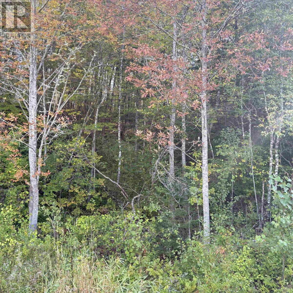 Lot 3 Ohio East Road, St. Joseph, Nova Scotia  B2G 2K8 - Photo 7 - 202624156