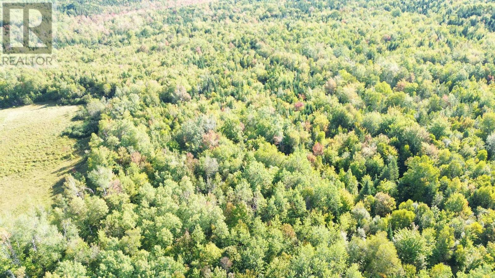 Lot 3 Ohio East Road, St. Joseph, Nova Scotia  B2G 2K8 - Photo 5 - 202624156