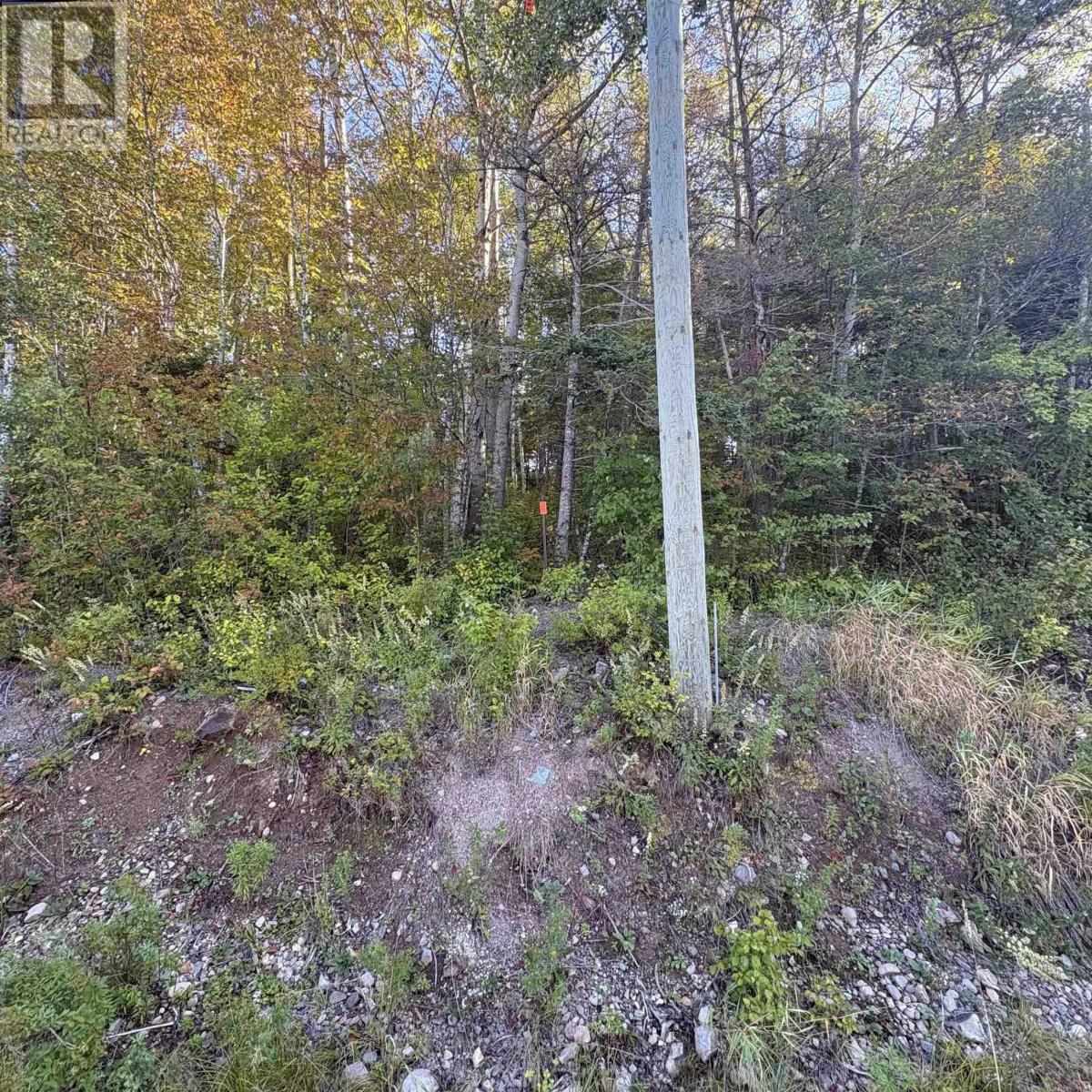 Lot 3 Ohio East Road, St. Joseph, Nova Scotia  B2G 2K8 - Photo 9 - 202624156