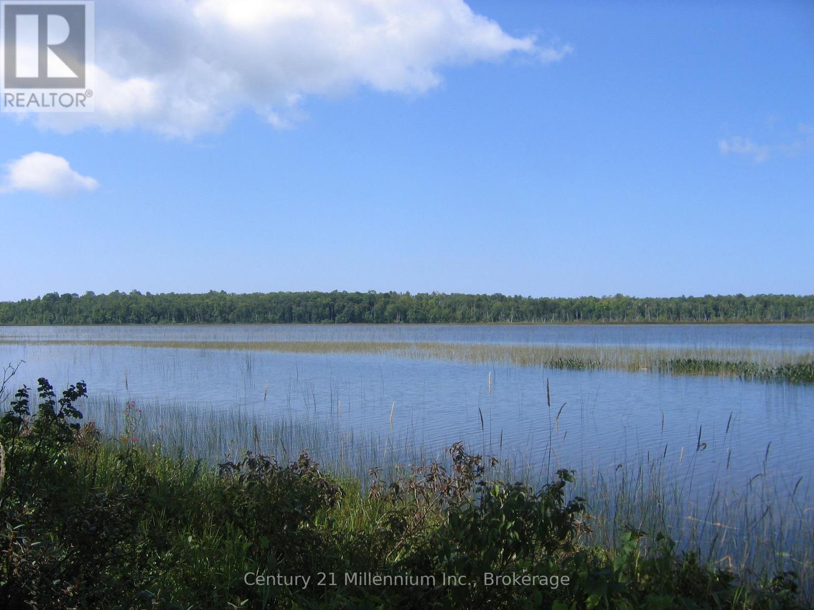 0 Lt 26 Con 2 Wbr Albemarle Concession, South Bruce Peninsula, Ontario  N0H 2T0 - Photo 3 - X13830488