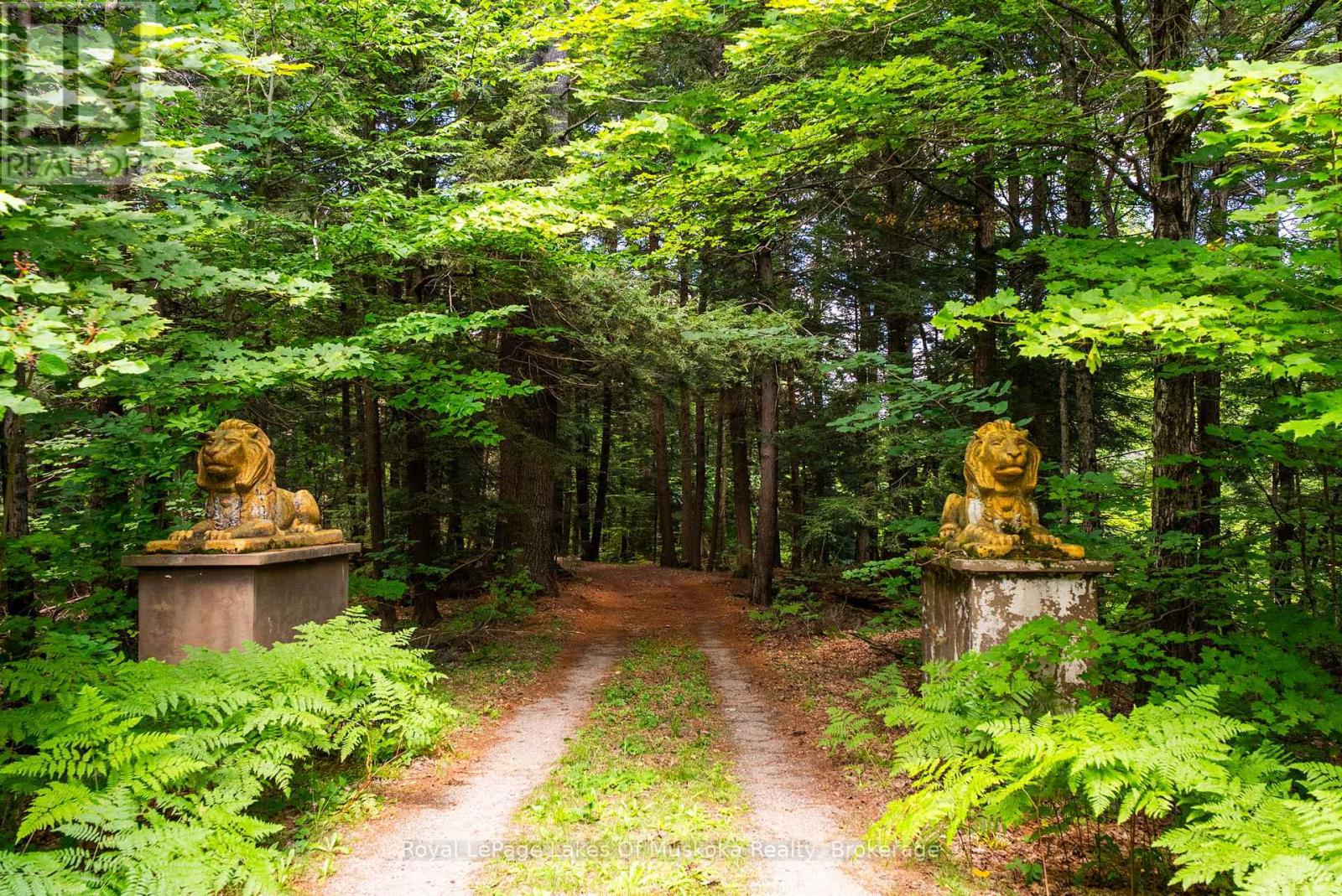 1521 Old Hwy 117, Lake Of Bays, Ontario  P0B 1A0 - Photo 47 - X13830728