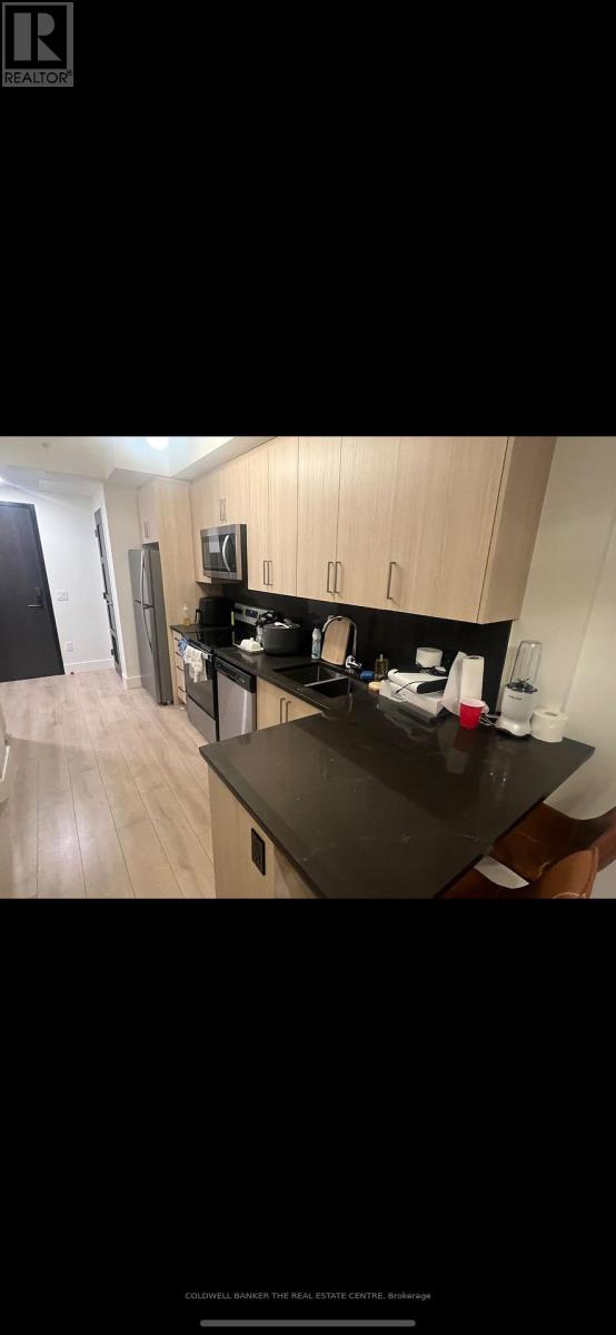 522 - 145 Columbia Street W, Waterloo, Ontario N2L 0K7 - Photo 11 - X13830588