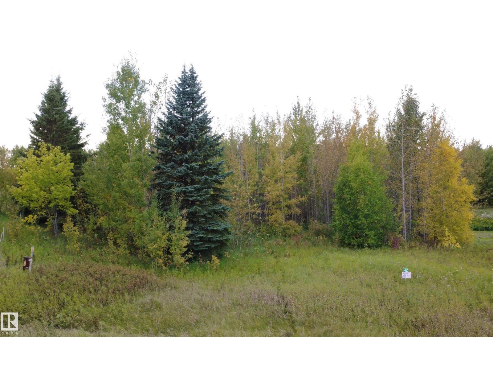 #42 52318 Rge Road 25, Rural Parkland County, Alberta  T7Z 1Z4 - Photo 14 - E4509803