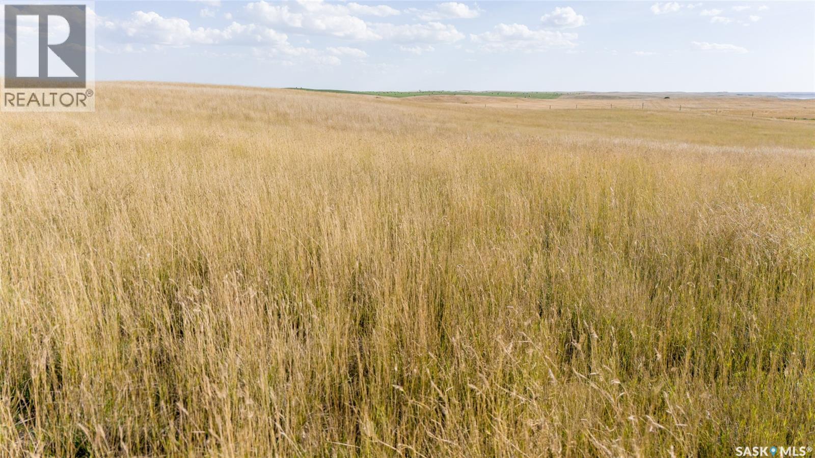 243 Deeded Acres w/ Assignable Crown Lease RM 101, Terrell Rm No. 101, Saskatchewan