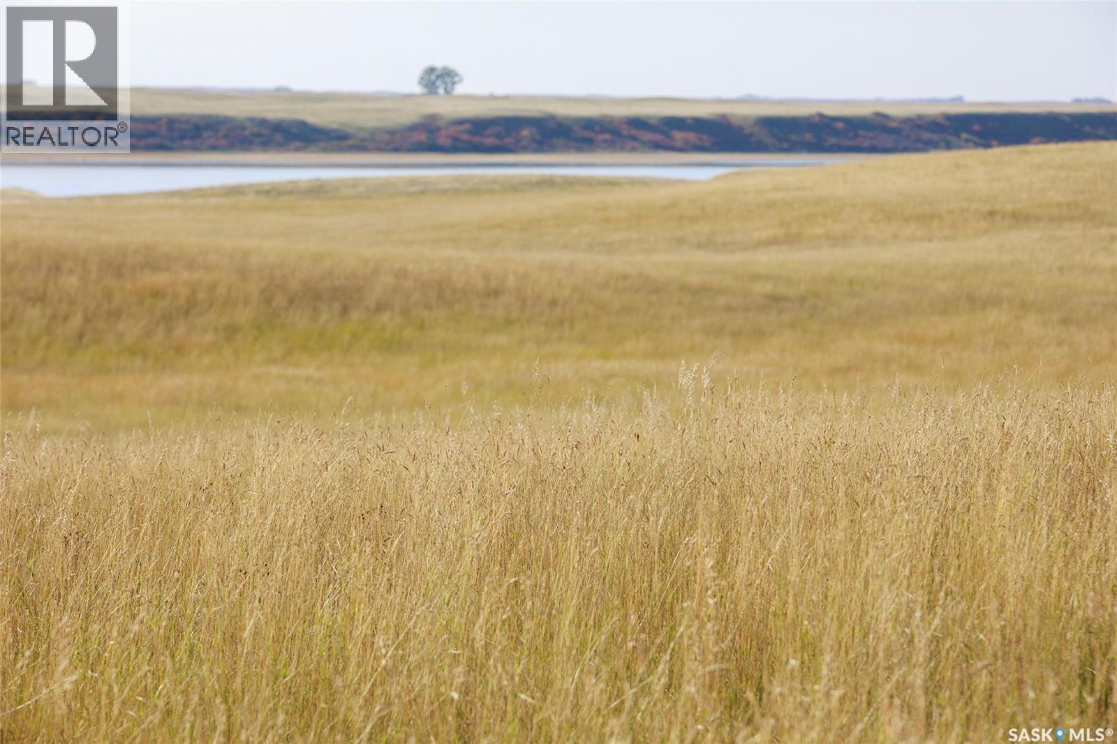 243 Deeded Acres W/ Assignable Crown Lease Rm 101, Terrell Rm No. 101, Saskatchewan  S0H 0E0 - Photo 7 - SK049618