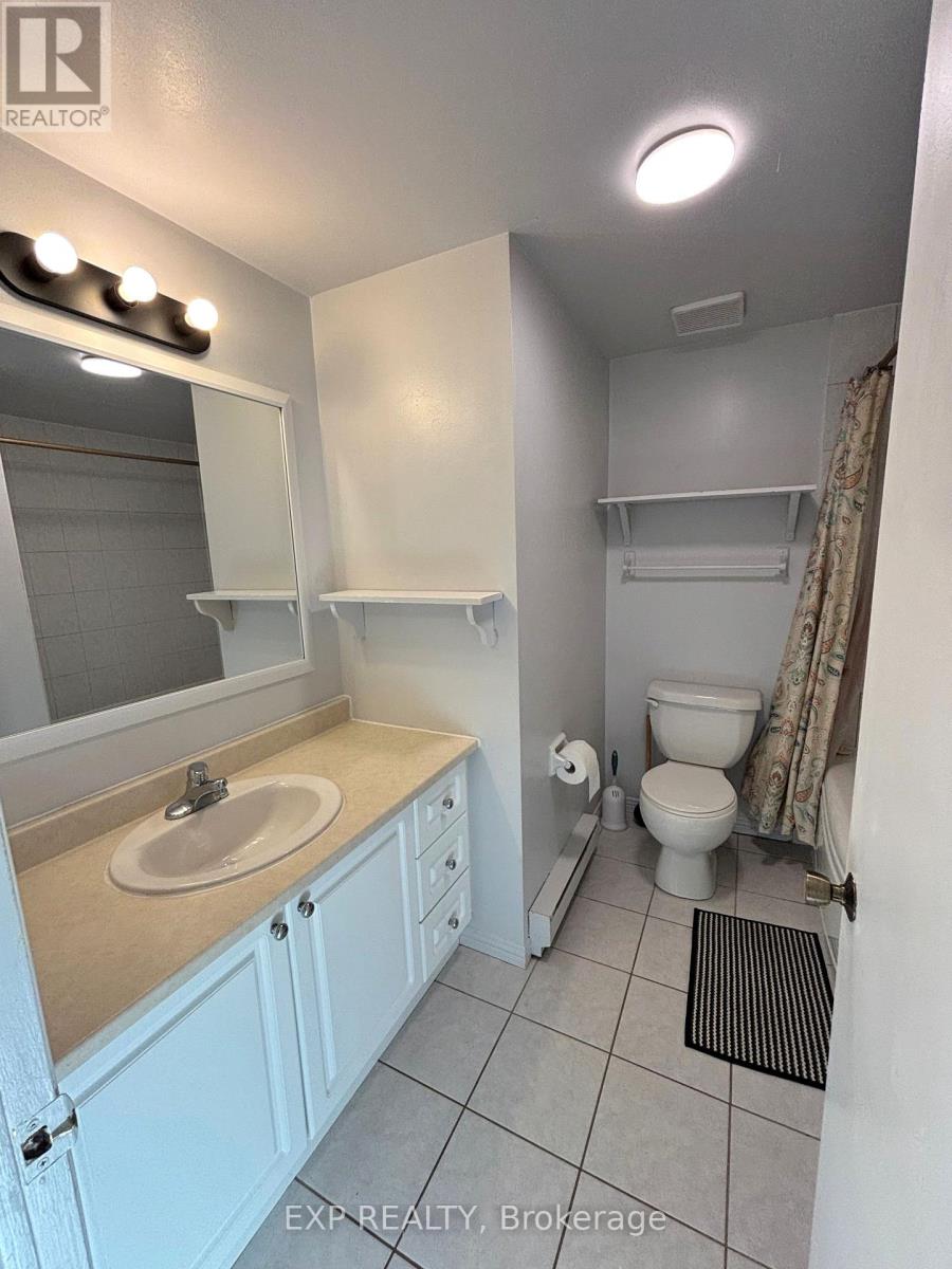 10 - 41 Pixley Private, Ottawa, Ontario K1G 4C3 - Photo 11 - X13739890