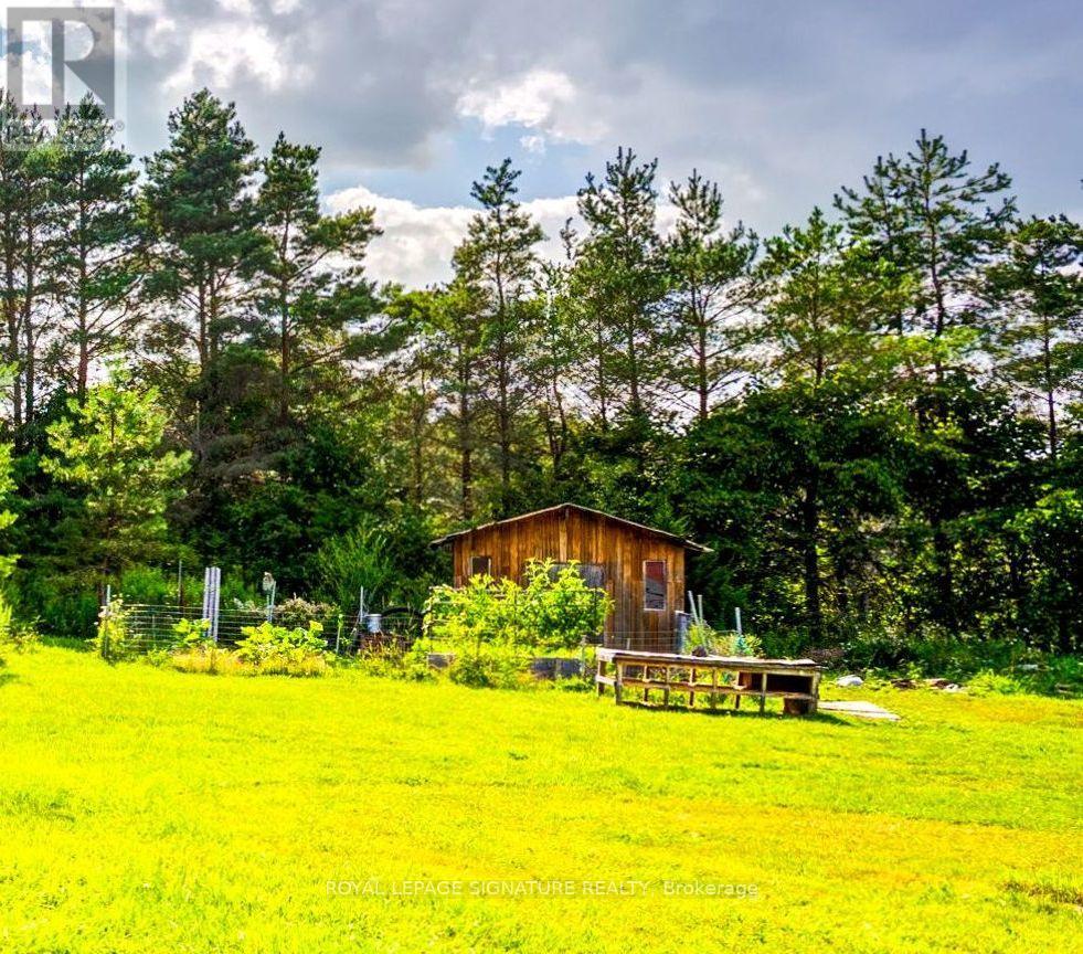 3232 15th Side Road, New Tecumseth, Ontario  L0G 1A0 - Photo 48 - N13831006