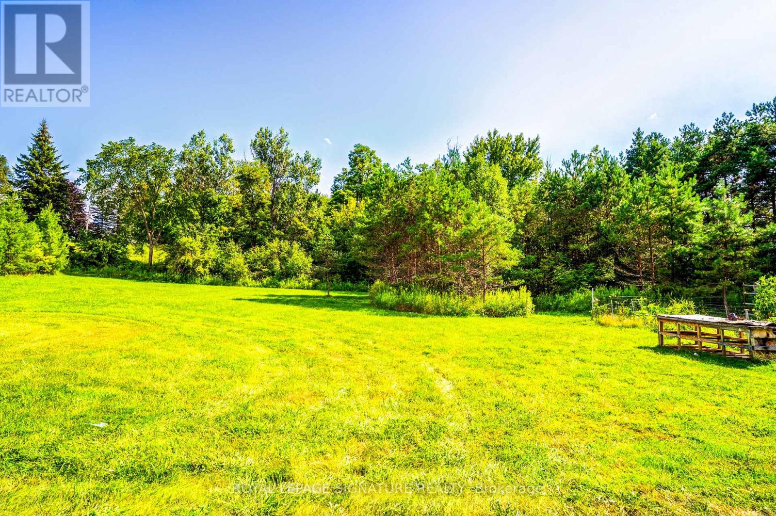 3232 15th Side Road, New Tecumseth, Ontario  L0G 1A0 - Photo 49 - N13831006