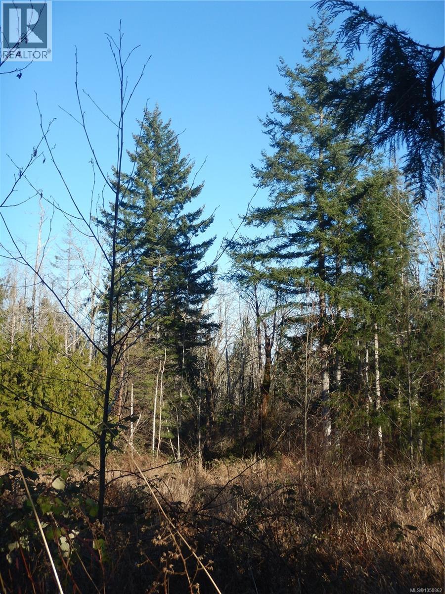 Lot 2 Artela Dr, Fanny Bay, British Columbia  V0R 1W0 - Photo 5 - 1050862