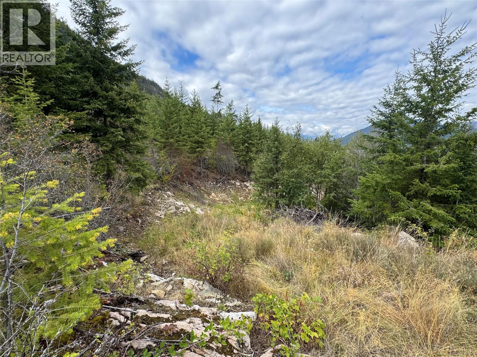 Lot 16 Osprey Point, Renata, British Columbia  V1N 3N3 - Photo 12 - 10401704