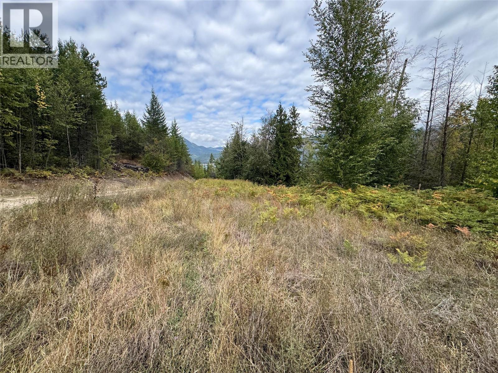 Lot 16 Osprey Point, Renata, British Columbia  V1N 3N3 - Photo 15 - 10401704