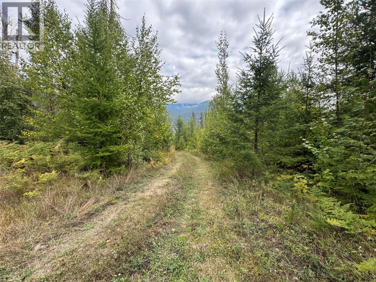 Lot 16 Osprey Point, Renata, British Columbia  V1N 3N3 - Photo 19 - 10401704