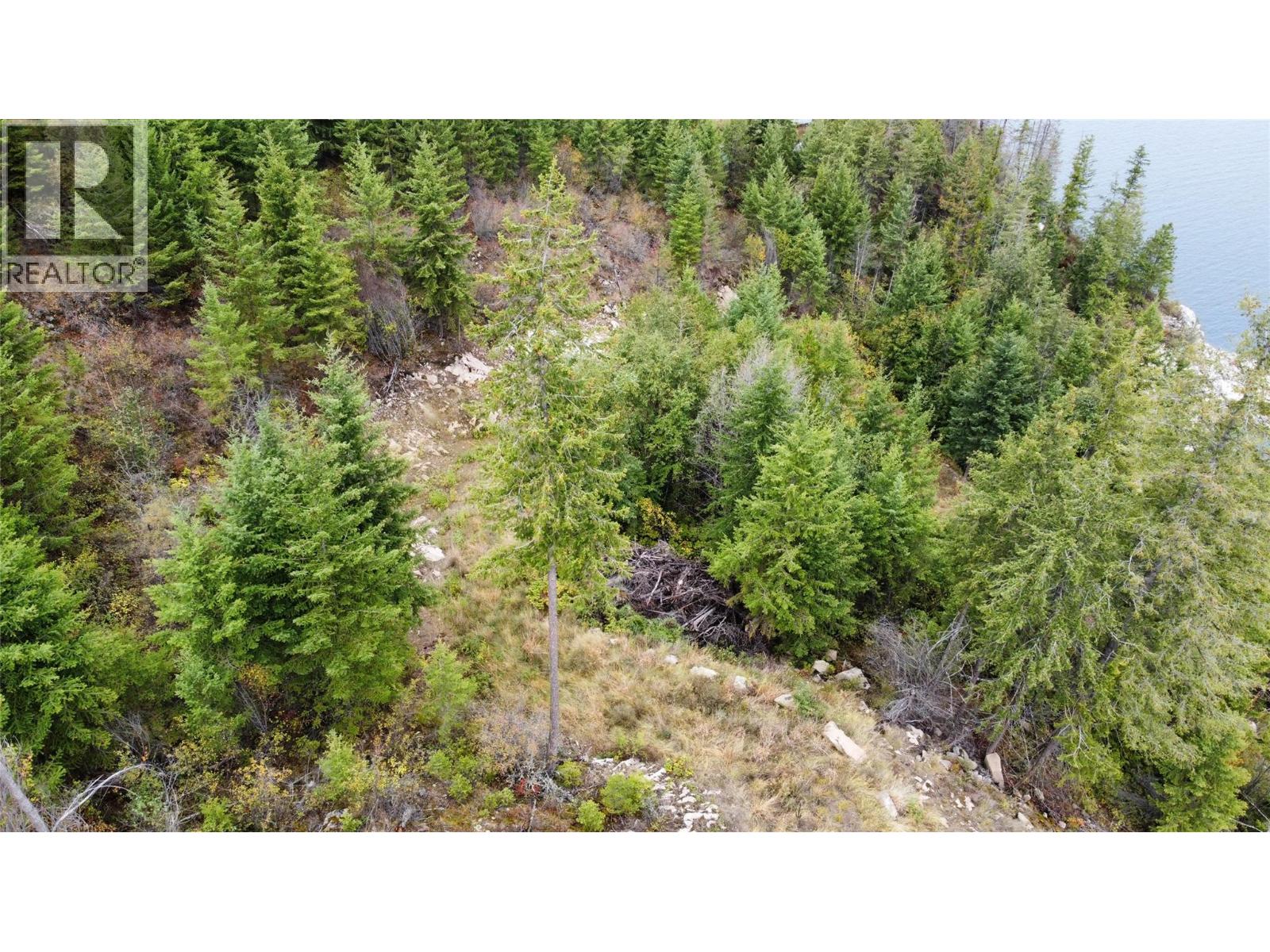 Lot 16 Osprey Point, Renata, British Columbia  V1N 3N3 - Photo 29 - 10401704