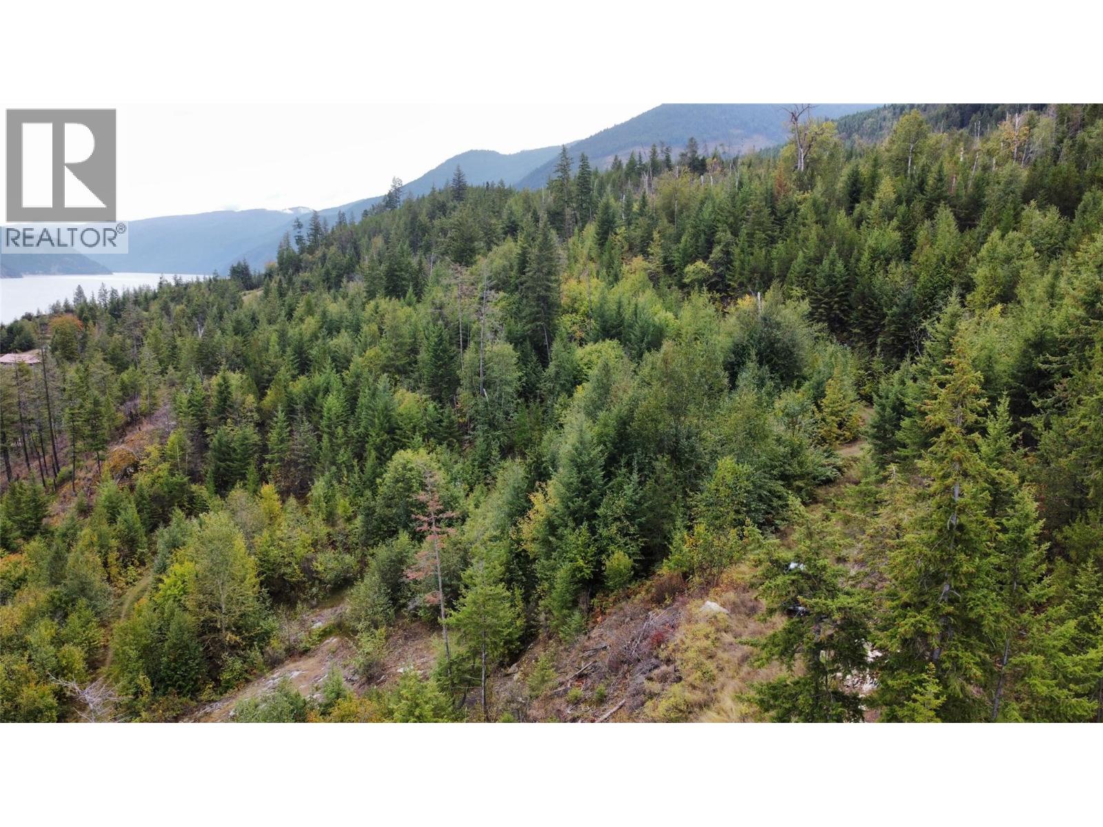 Lot 16 Osprey Point, Renata, British Columbia  V1N 3N3 - Photo 31 - 10401704