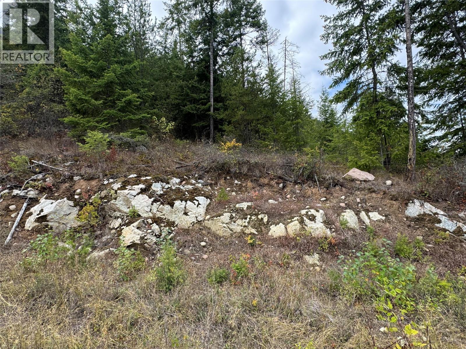 Lot 16 Osprey Point, Renata, British Columbia  V1N 3N3 - Photo 4 - 10401704
