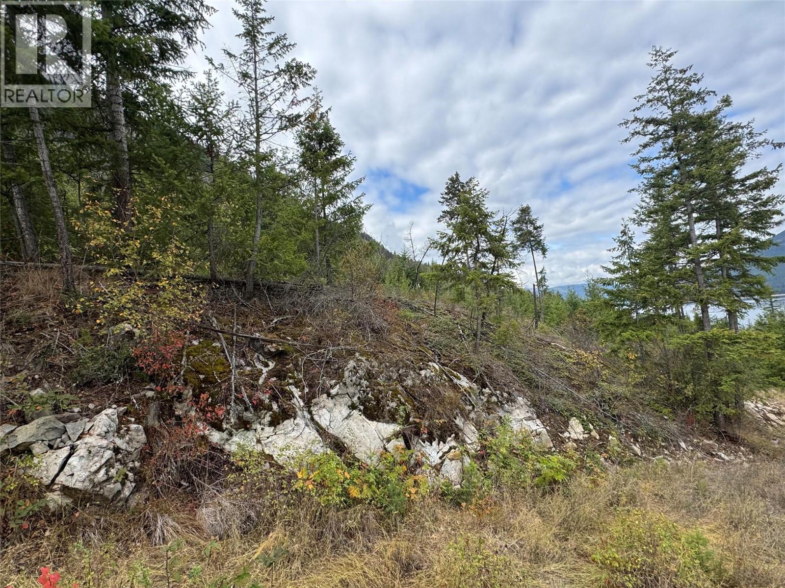 Lot 16 Osprey Point, Renata, British Columbia  V1N 3N3 - Photo 8 - 10401704