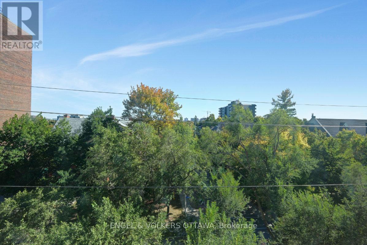 5 - 373 Laurier Avenue E, Ottawa, Ontario  K1N 8X6 - Photo 30 - X13831300