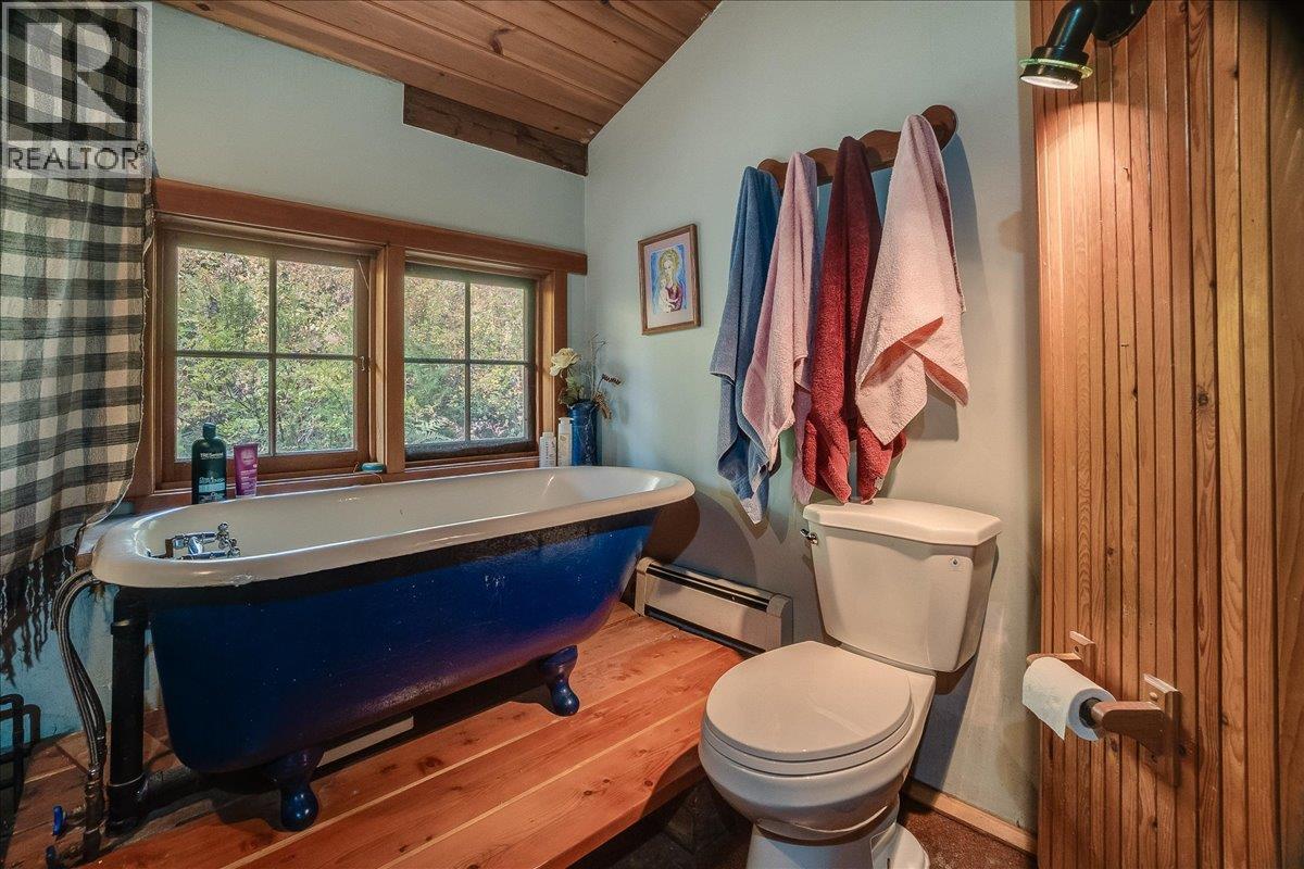 8494 Red Mountain Road, Silverton, British Columbia  V0G 1S0 - Photo 28 - 10401988