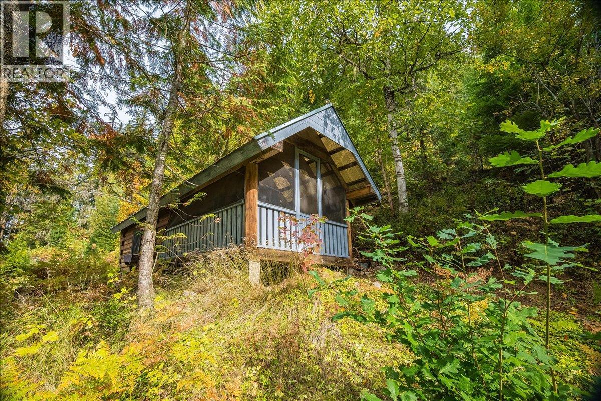 8494 Red Mountain Road, Silverton, British Columbia  V0G 1S0 - Photo 56 - 10401988