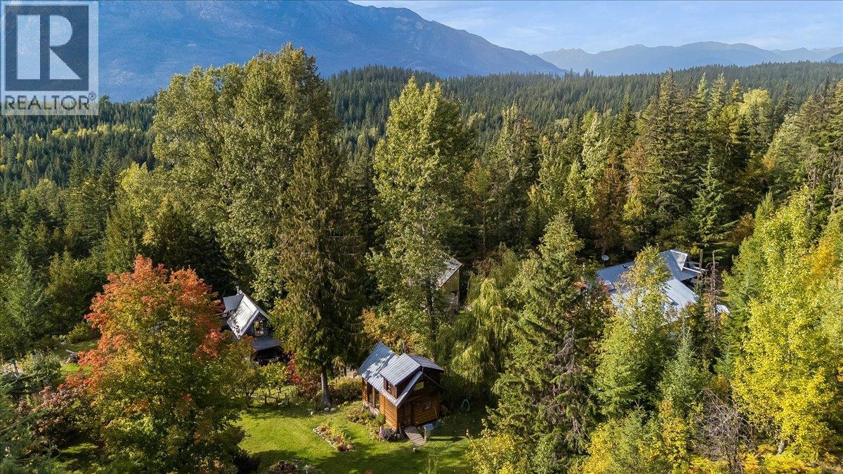 8494 Red Mountain Road, Silverton, British Columbia  V0G 1S0 - Photo 80 - 10401988