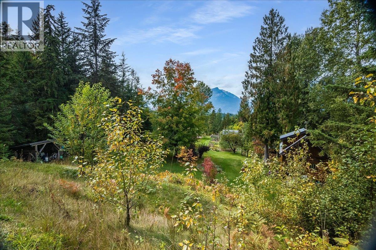 8494 Red Mountain Road, Silverton, British Columbia  V0G 1S0 - Photo 73 - 10401988