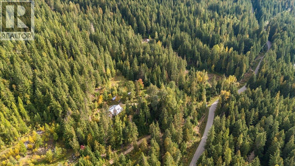 8494 Red Mountain Road, Silverton, British Columbia  V0G 1S0 - Photo 85 - 10401988