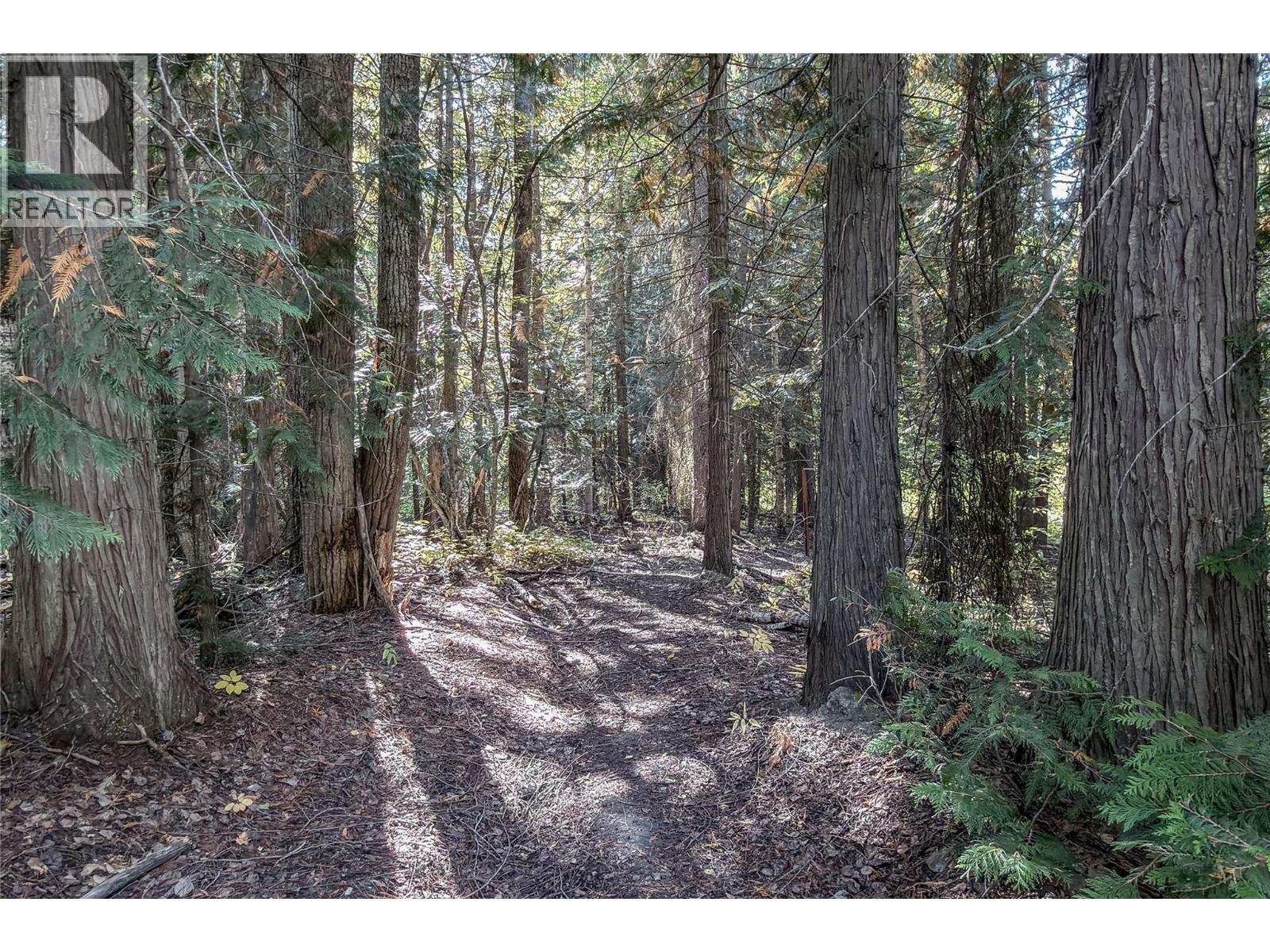 1506 Hartley Road, Golden, British Columbia  V0A 1H1 - Photo 46 - 10402004