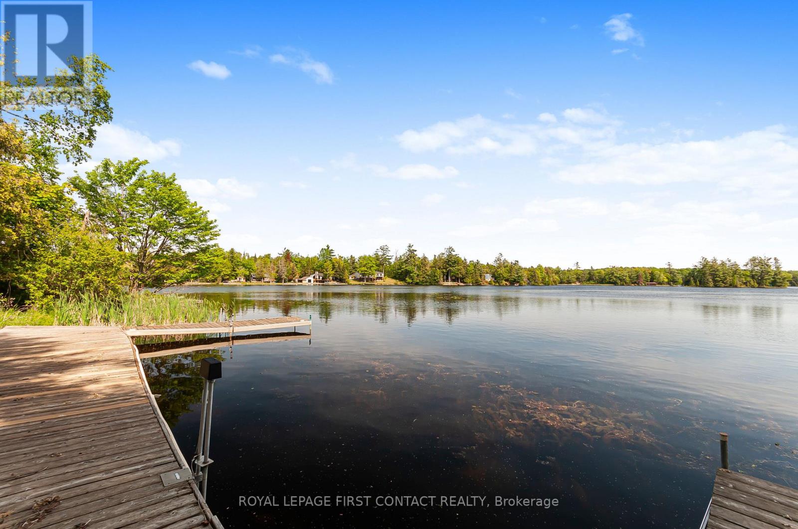 103 Peninsula Drive, Trent Lakes, Ontario  K9J 6X3 - Photo 5 - X13831510