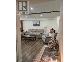 LOWER - 59 MCGIBBON BOULEVARD, Kawartha Lakes, Ontario