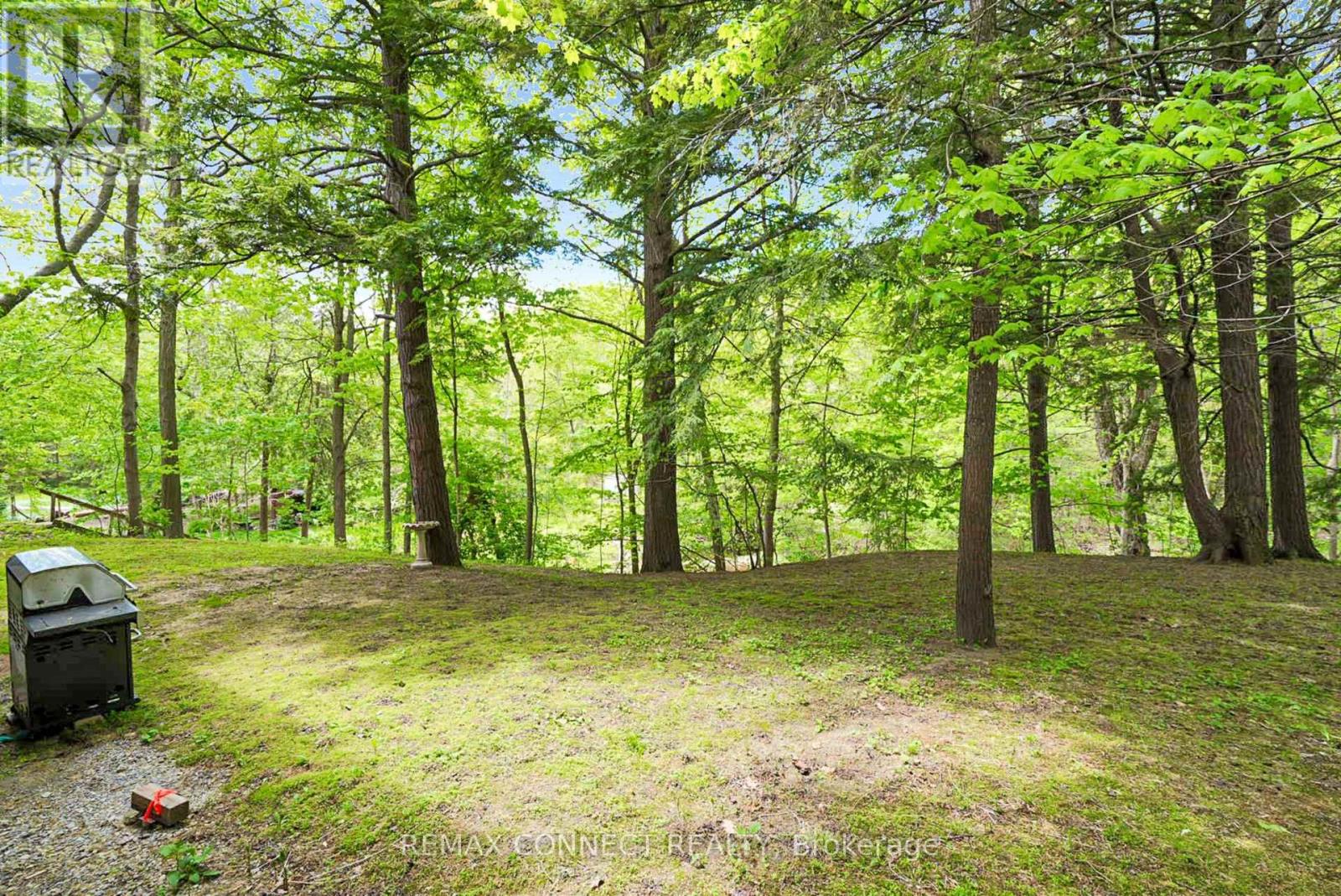 1436 Highbush Trail, Pickering, Ontario  L1V 1N5 - Photo 38 - E13831620