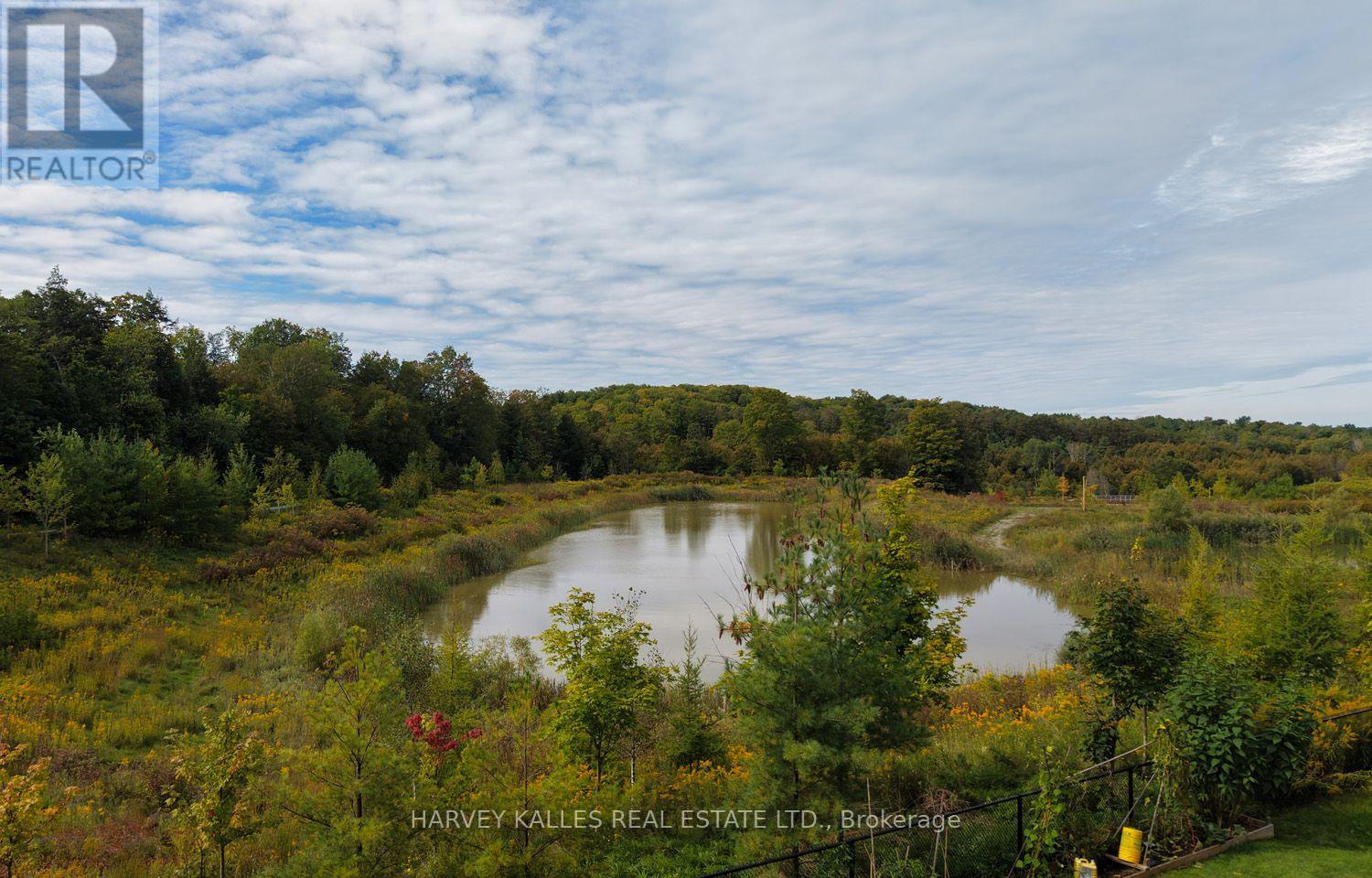 Main Floor - 253 Seaview Heights, East Gwillimbury, Ontario  L9N 0Z1 - Photo 45 - N13830440