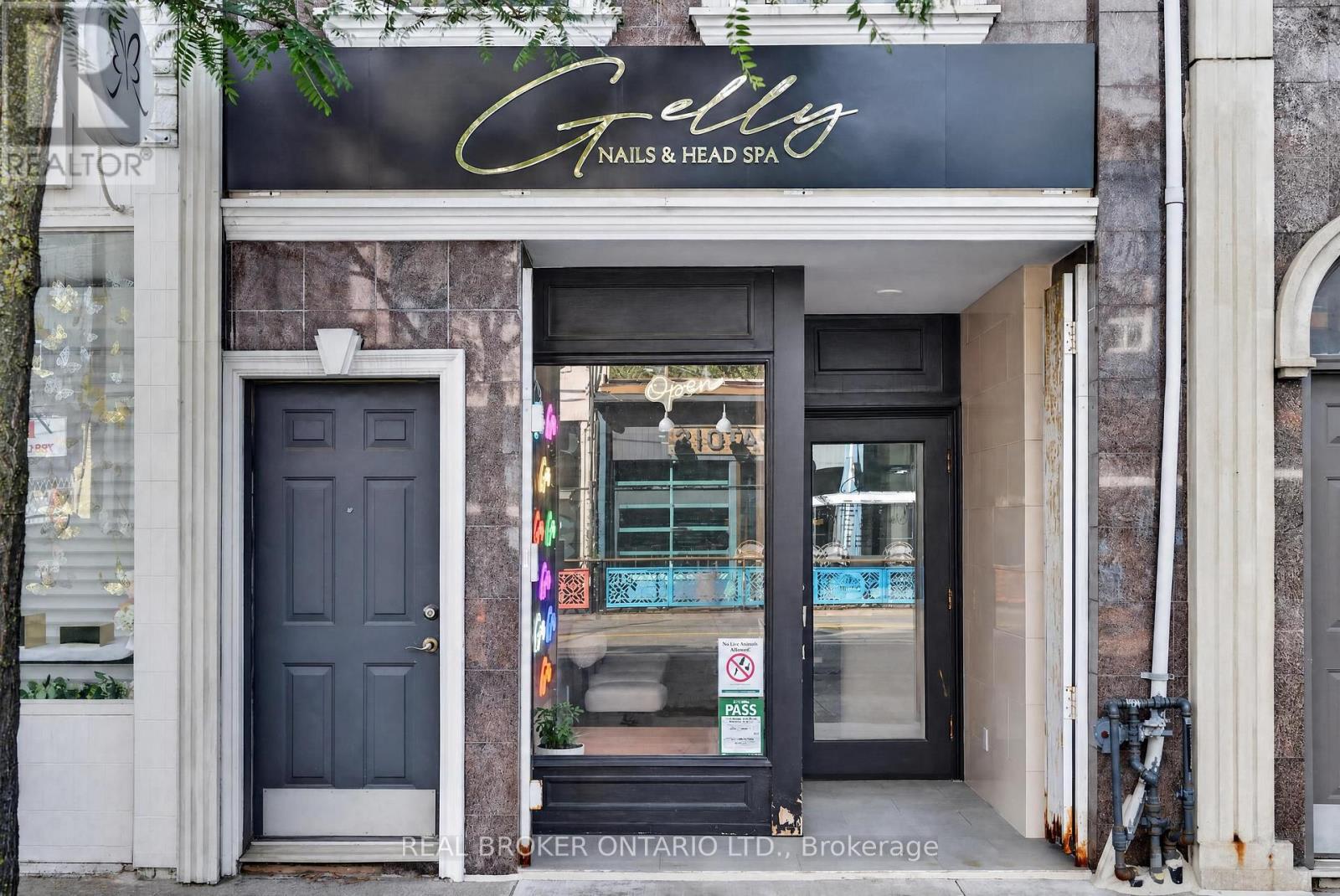 803 Dundas Street W, Toronto, Ontario  M6J 1V2 - Photo 3 - C13831850