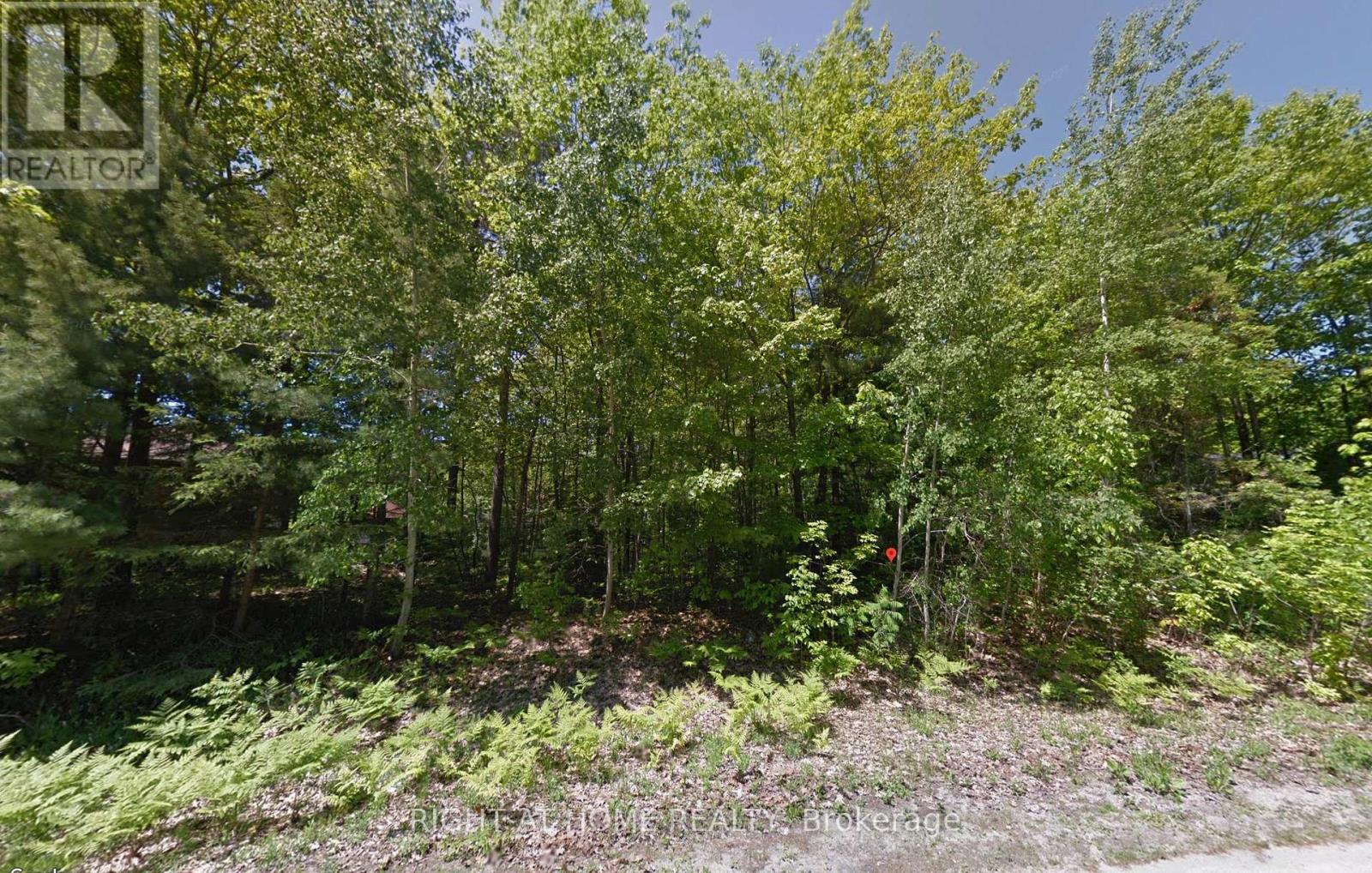 2 Birchwood Trail, Wasaga Beach, Ontario  L9Z 1B3 - Photo 4 - S13830896