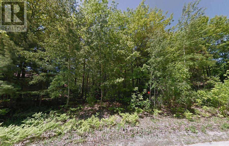 2 Birchwood Trail, Wasaga Beach, Ontario  L9Z 1B3 - Photo 4 - S13830896