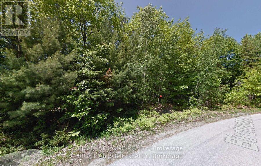 2 Birchwood Trail, Wasaga Beach, Ontario  L9Z 1B3 - Photo 3 - S13830896