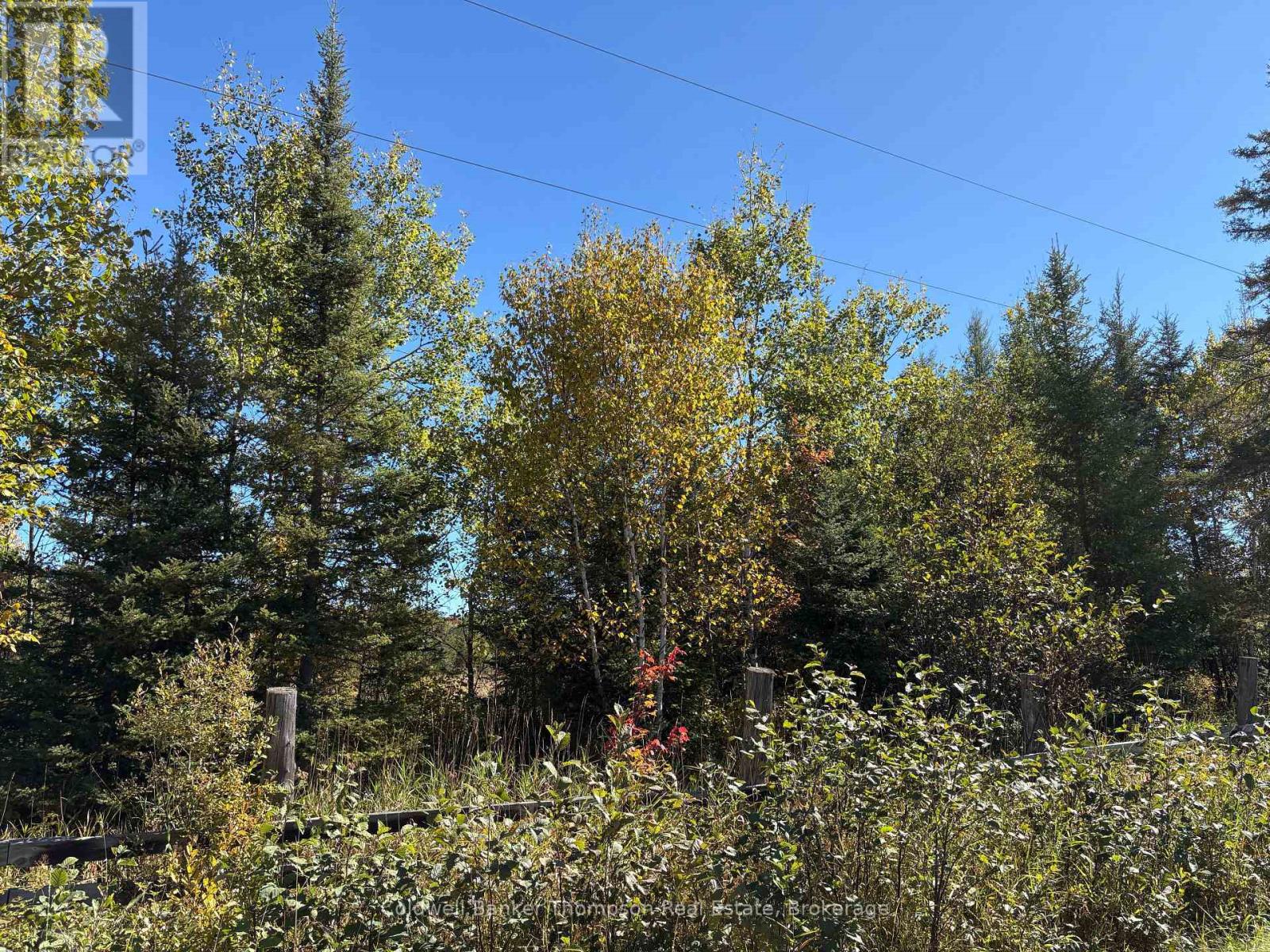 0 Cottrell Road, Strong, Ontario P0A 1Z0 - Photo 4 - X13832074