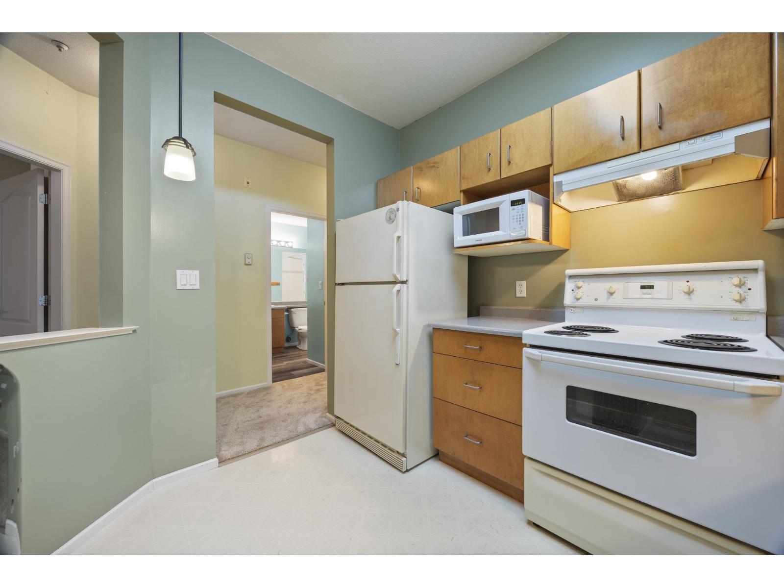 106 20239 Michaud Crescent, Langley, British Columbia  V3A 8L1 - Photo 5 - R3162770
