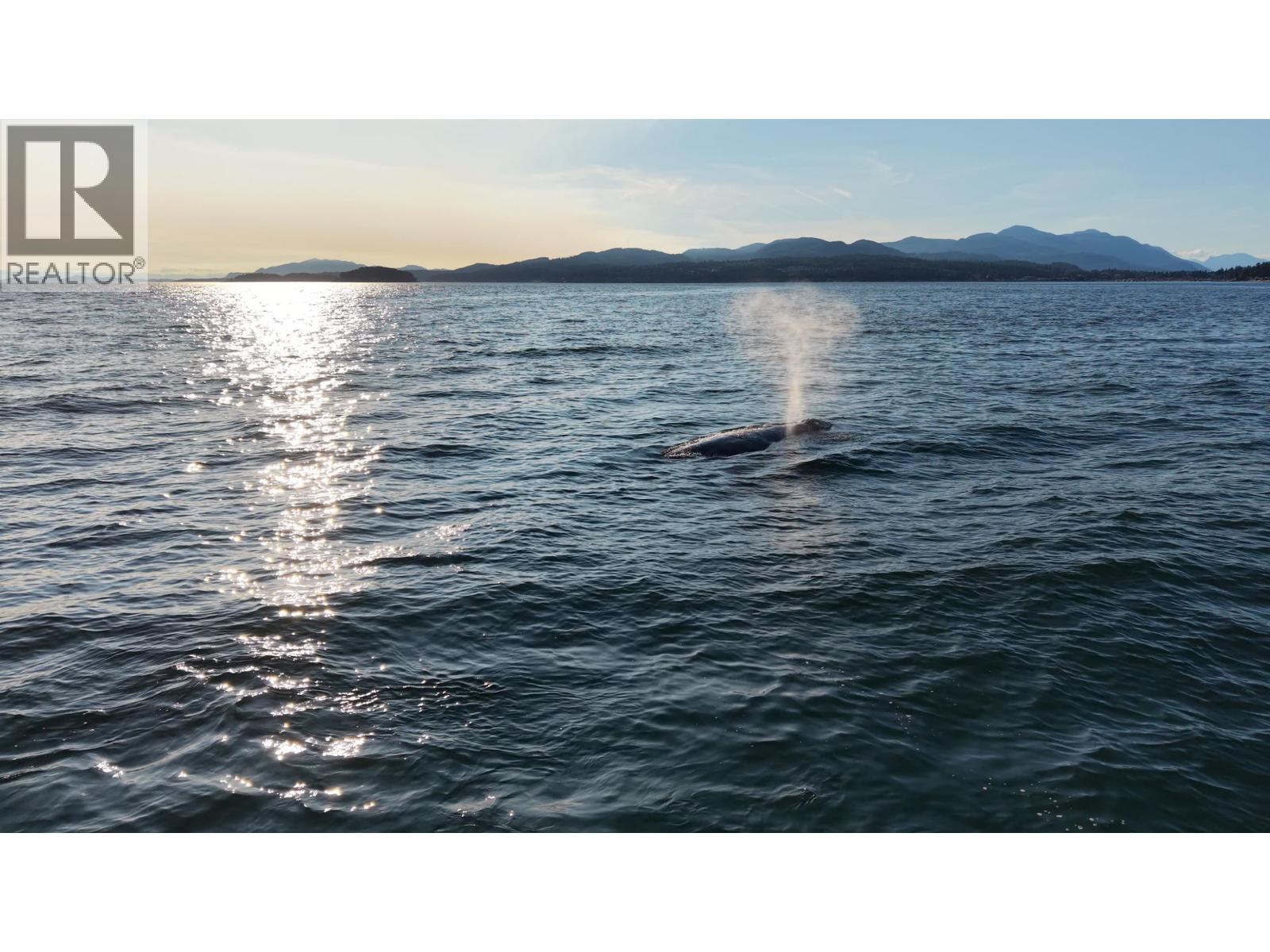 1 4514 Sunshine Coast Highway, Sechelt, British Columbia  V7Z 0G9 - Photo 38 - R3144576