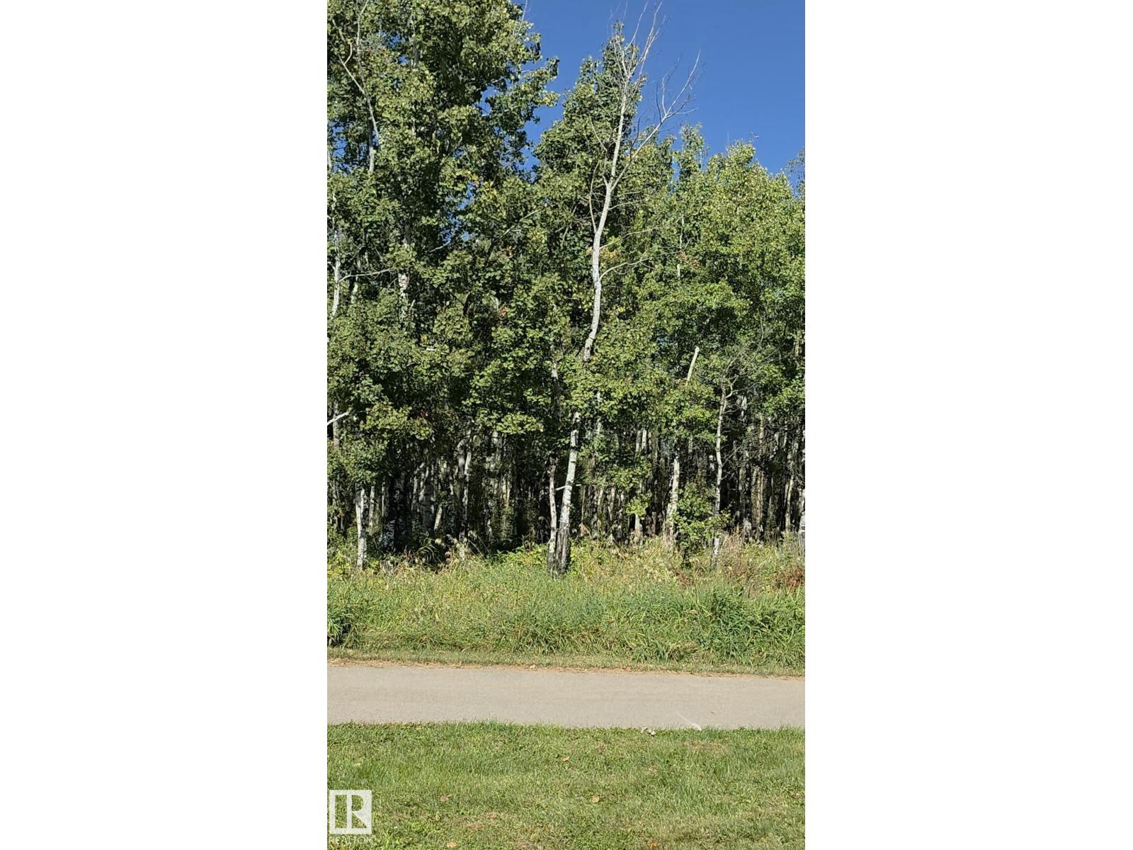 20104 19 Av Nw, Edmonton, Alberta  T6M 0X9 - Photo 34 - E4510351