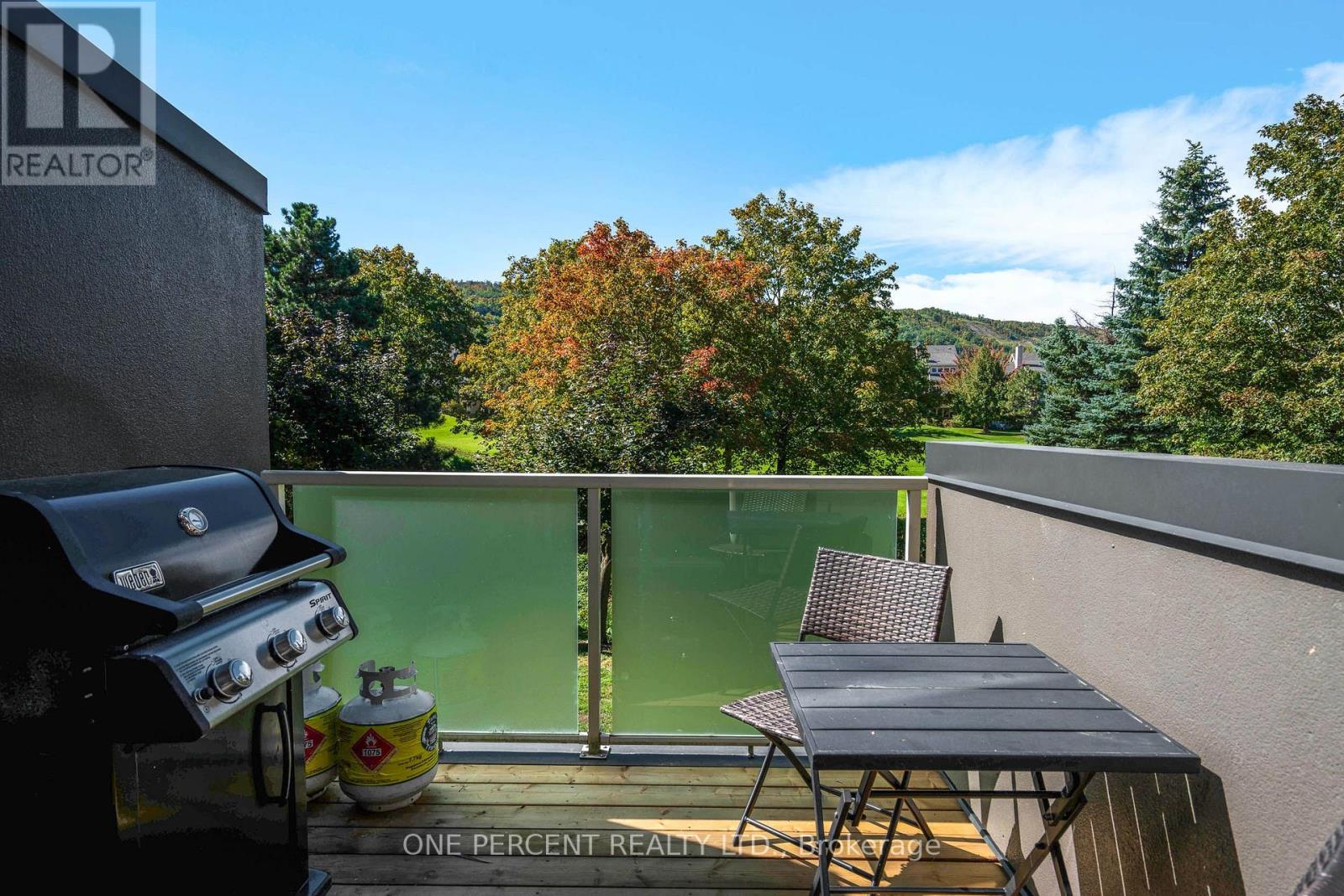 210 - 110 Fairway Court, Blue Mountains, Ontario  L9Y 0P8 - Photo 31 - X13827736